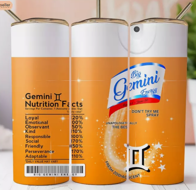 Orange Gemini Astrological sign 20oz Skinny Stainless Steel Tumbler